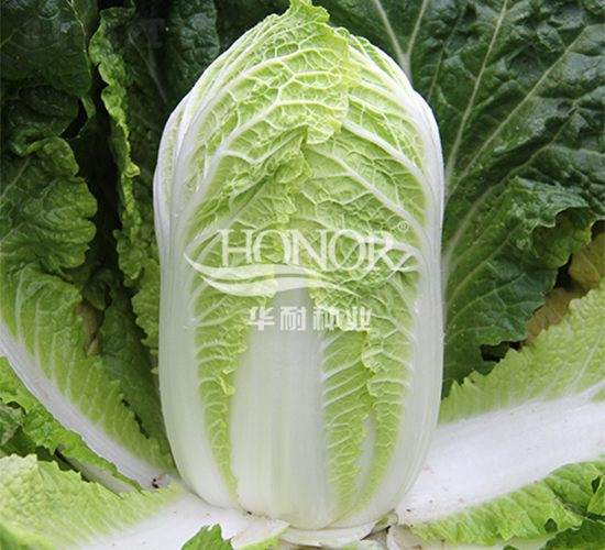 ����B1102-���޲�����-������ҵ