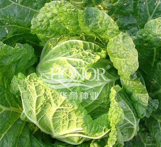 ���촺-�ײ�����-������ҵ