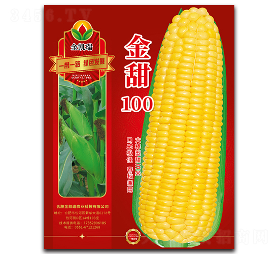 ����100-��������-����