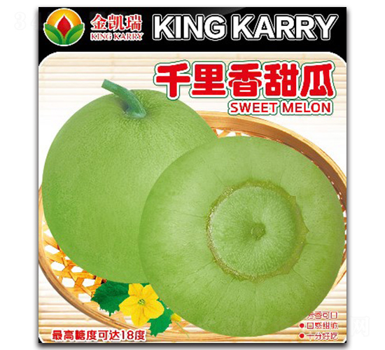 ǧ�������-�������-����