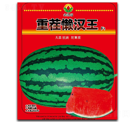 �ز�������-��������-����