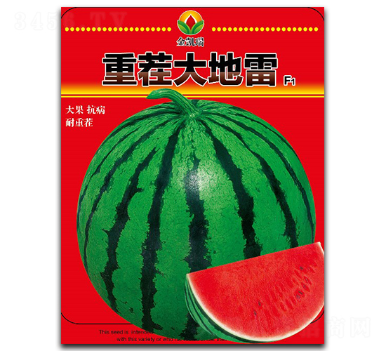 �ز�����-��������-����