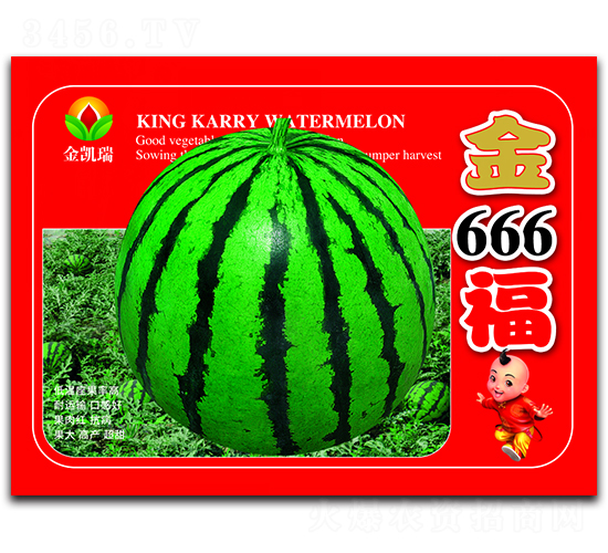 ��666��-��������-����