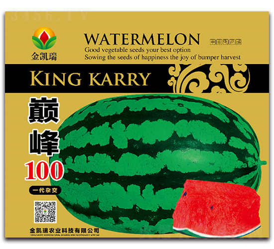 �۷�100-��������-����