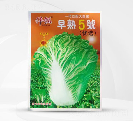 �������-���޲�����-ΰ����ҵ