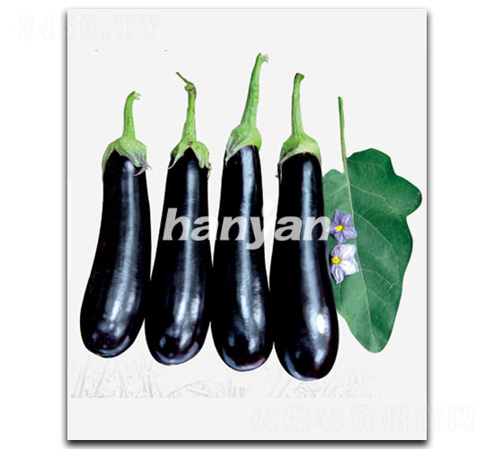 ����11��-��������-����