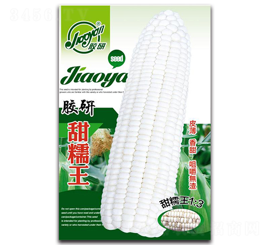 ������Ŵ��-Ŵ��������-����
