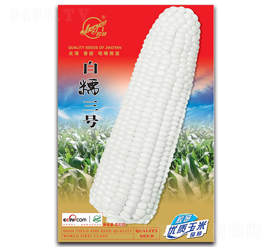 ���а�Ŵ2��-Ŵ��������-����