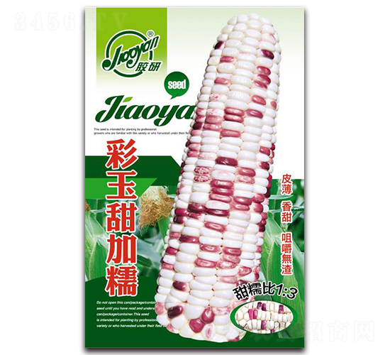 ���в������Ŵ-Ŵ��������-����