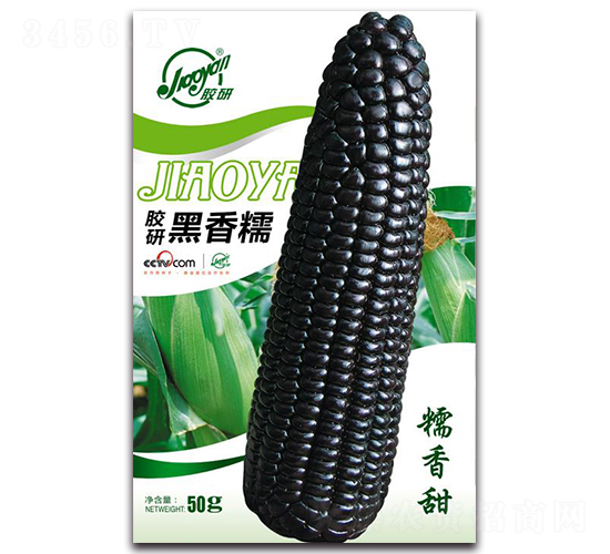 ���к���Ŵ-Ŵ��������-����