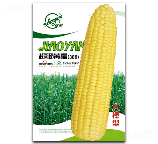 ������Ŵ��388��-Ŵ��������-����