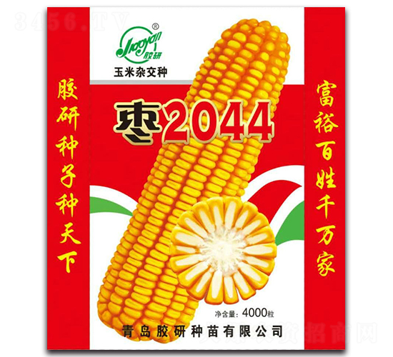 ������2044-�����ӽ���-����