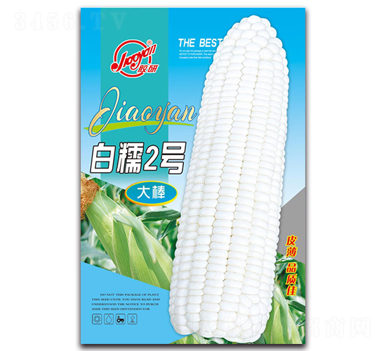 ��Ŵ2��-Ŵ��������-����