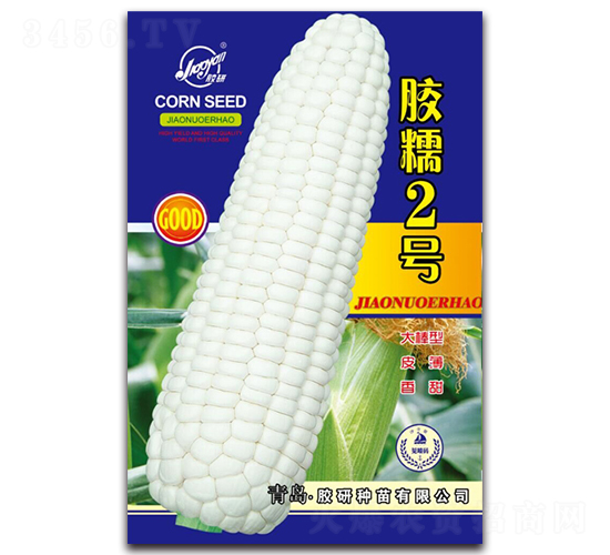 ��Ŵ2��-Ŵ��������-����