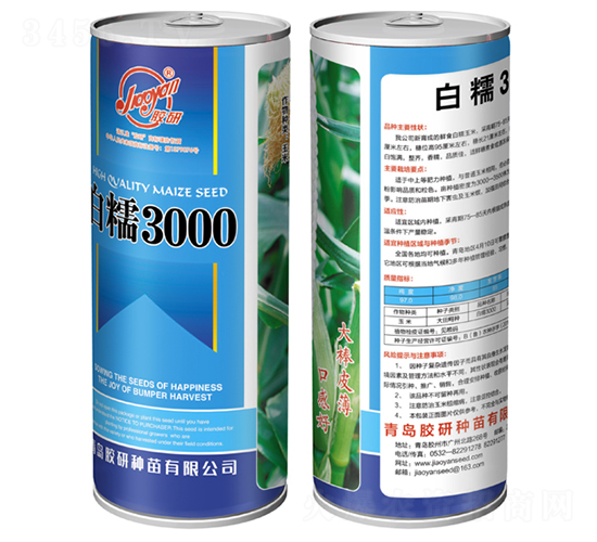 ��Ŵ3000-Ŵ��������-����