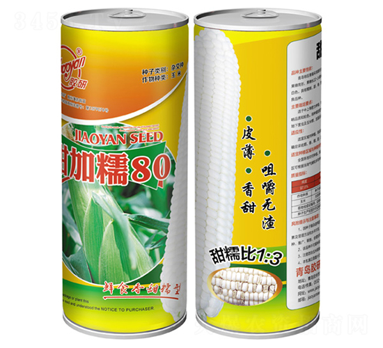 ���Ŵ80-Ŵ��������-����
