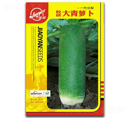 ���д����ܲ�-�ܲ�����-����