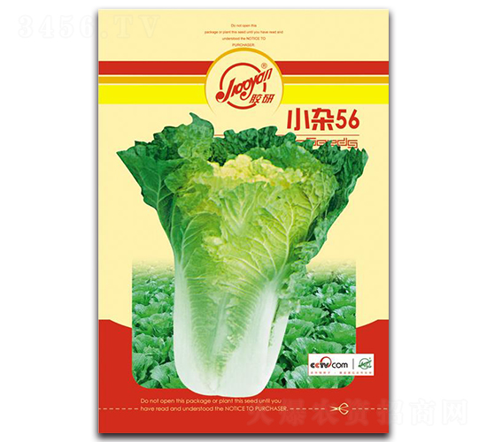 С��56-�ﲥ�ײ�����-����