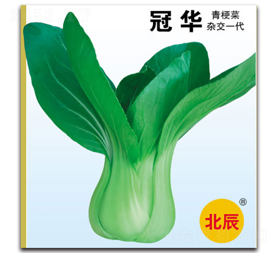 �ڻ�-�๣������-������ҵ