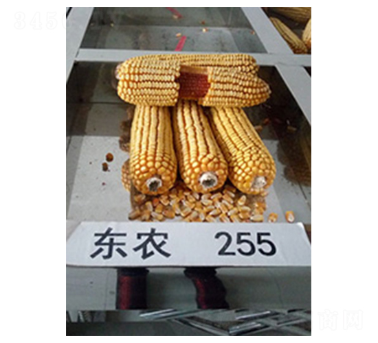 ��ũ255-��������-�а�ũҵ