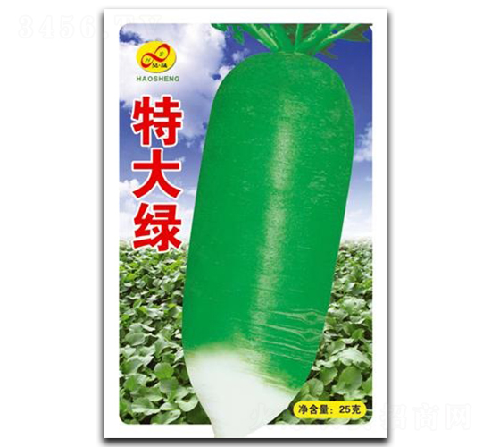 �ش���-�ܲ�����-�����ҵ