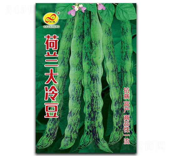 �������䶹-�ܶ�����-�����ҵ