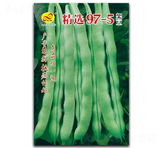 ��ѡ97-5-�ܶ�����-�����ҵ