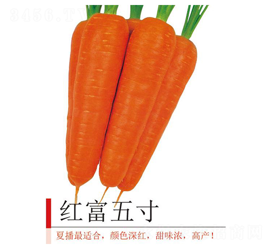 �츻���-���ܲ�����-����ũҵ