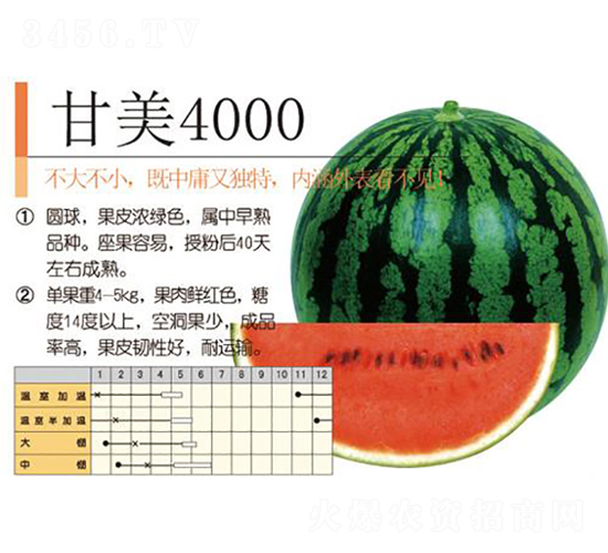 ����4000-��������-����ũҵ