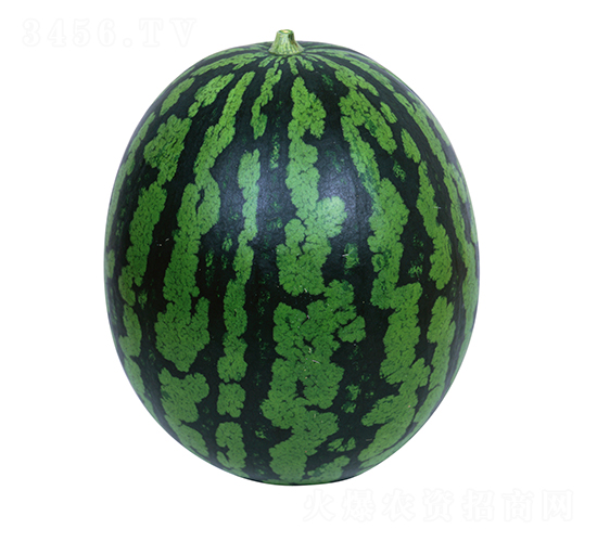 4K-��������-����ũҵ