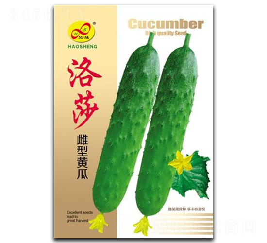��ɯ-�ƹ�����-�����ҵ
