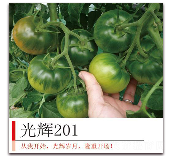���201-��������-����ũҵ