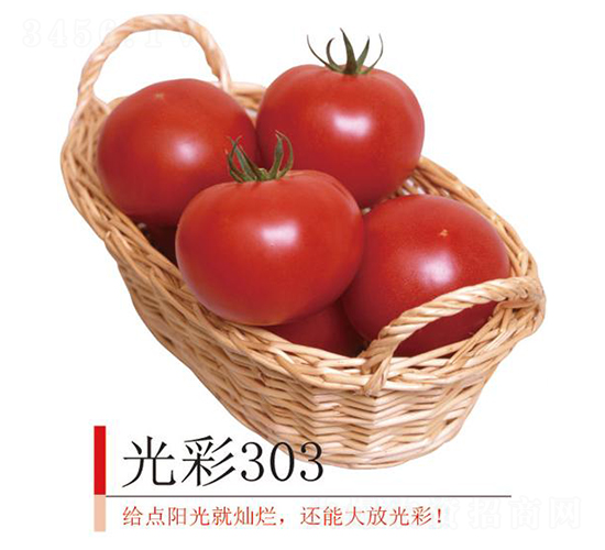 ���303-��������-����ũҵ