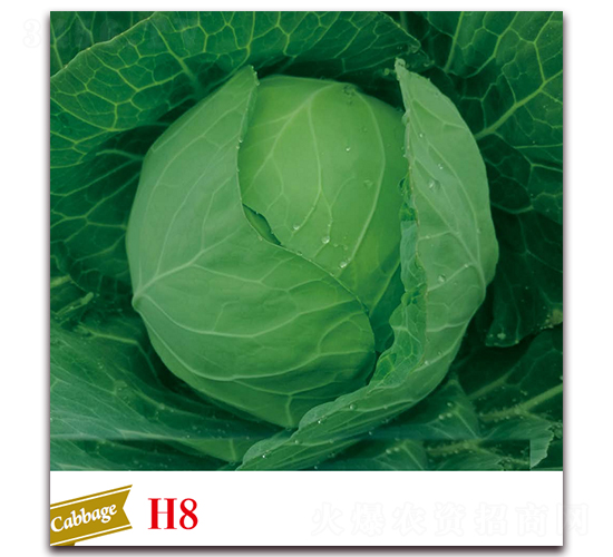 �ϸ�26-��������-����