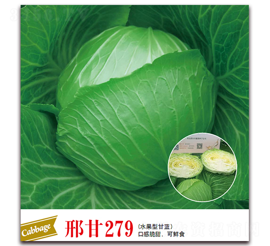 �ϸ�279-��������-����