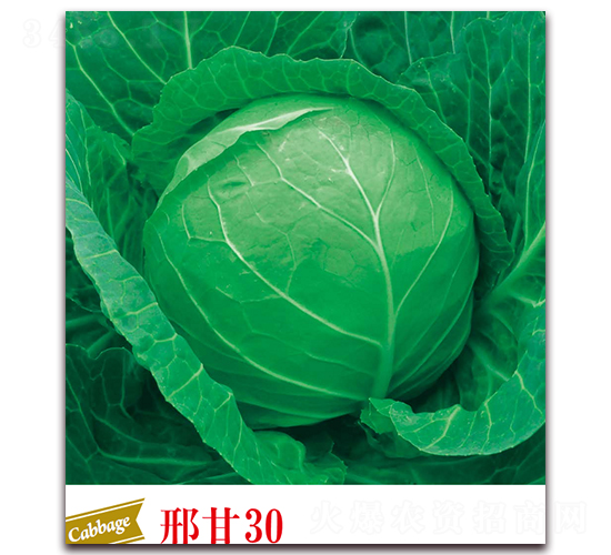 �ϸ�30-��������-����