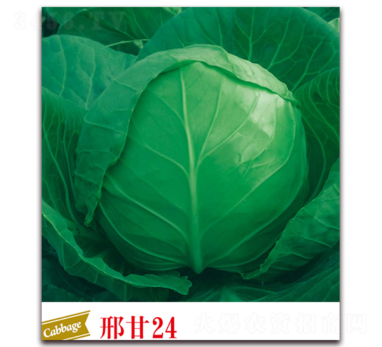 �ϸ�24-��������-����