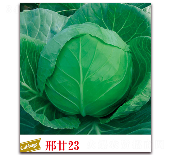 �ϸ�23-��������-����