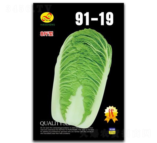91-19-�ײ�����-�����ҵ