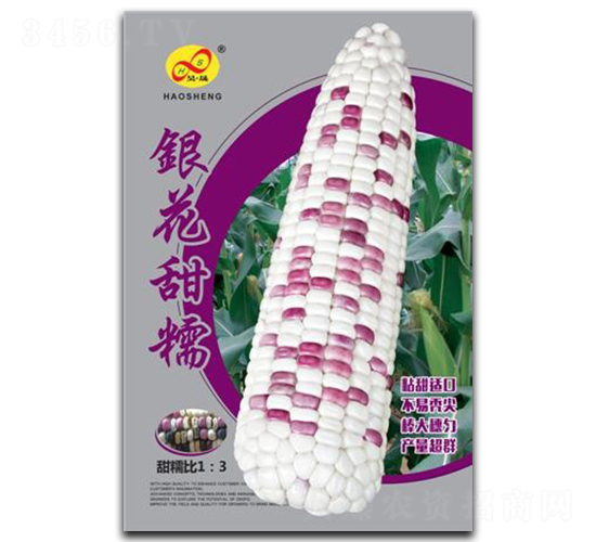 ������Ŵ-Ŵ��������-�����ҵ