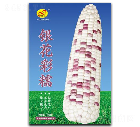 ������Ŵ-Ŵ��������-�����ҵ