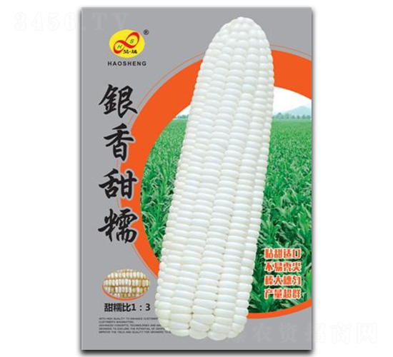 ������Ŵ-Ŵ��������-�����ҵ