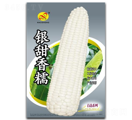 ������Ŵ-Ŵ��������-�����ҵ