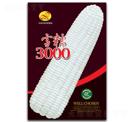 ѩŴ3000-Ŵ��������-�����ҵ