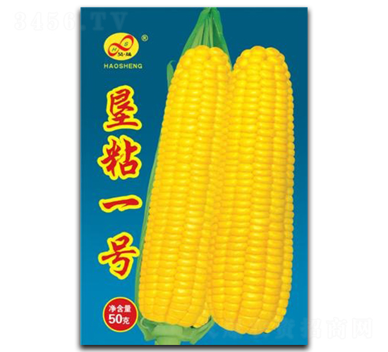 ��ճһ��-Ŵ��������-�����ҵ