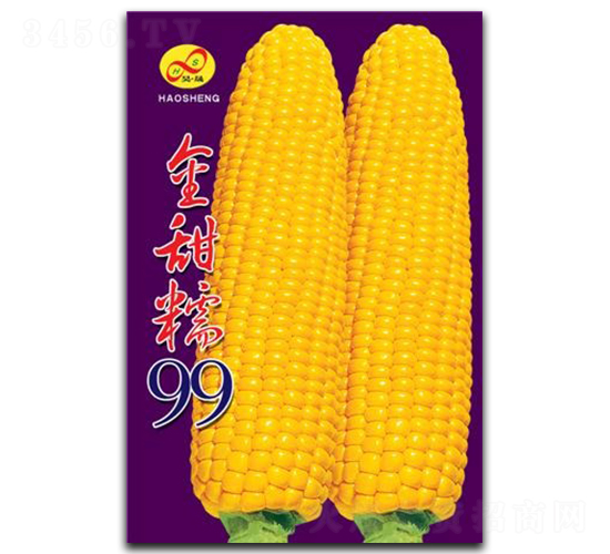 ����Ŵ99-Ŵ��������-�����ҵ