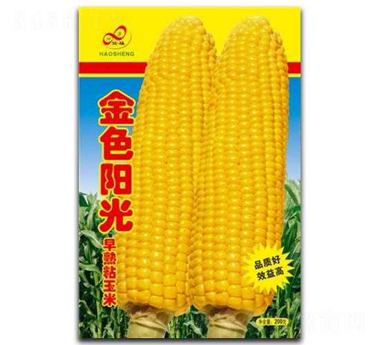 ��ɫ����-Ŵ��������-�����ҵ