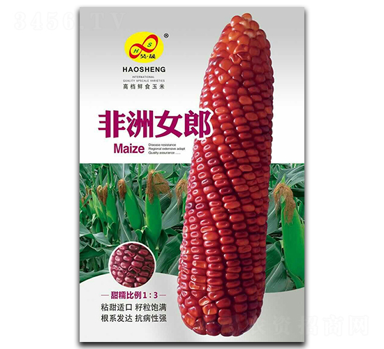 ����Ů��-Ŵ��������-�����ҵ