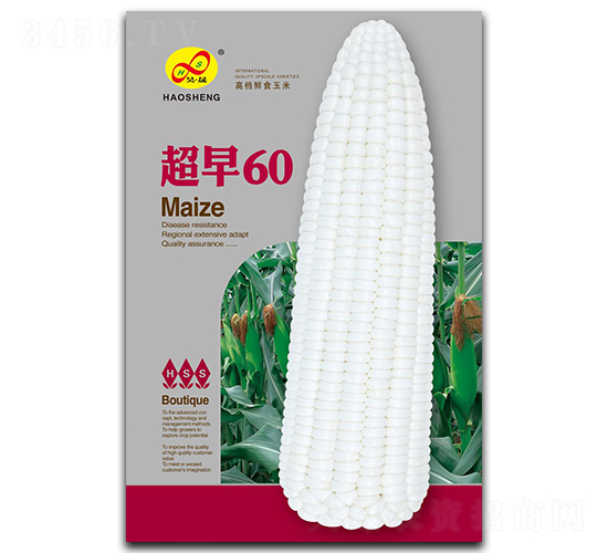 ����60-Ŵ��������-�����ҵ