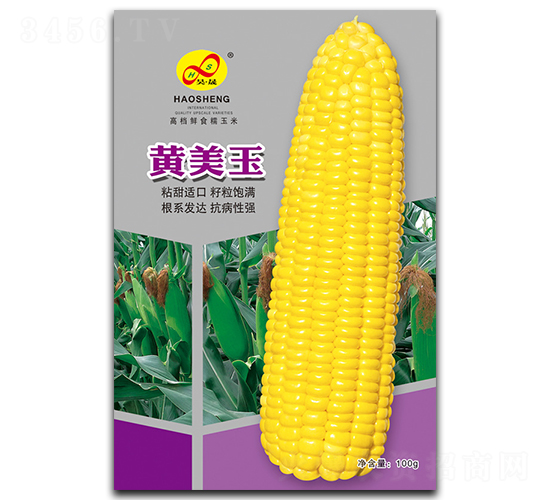 ������-Ŵ��������-�����ҵ
